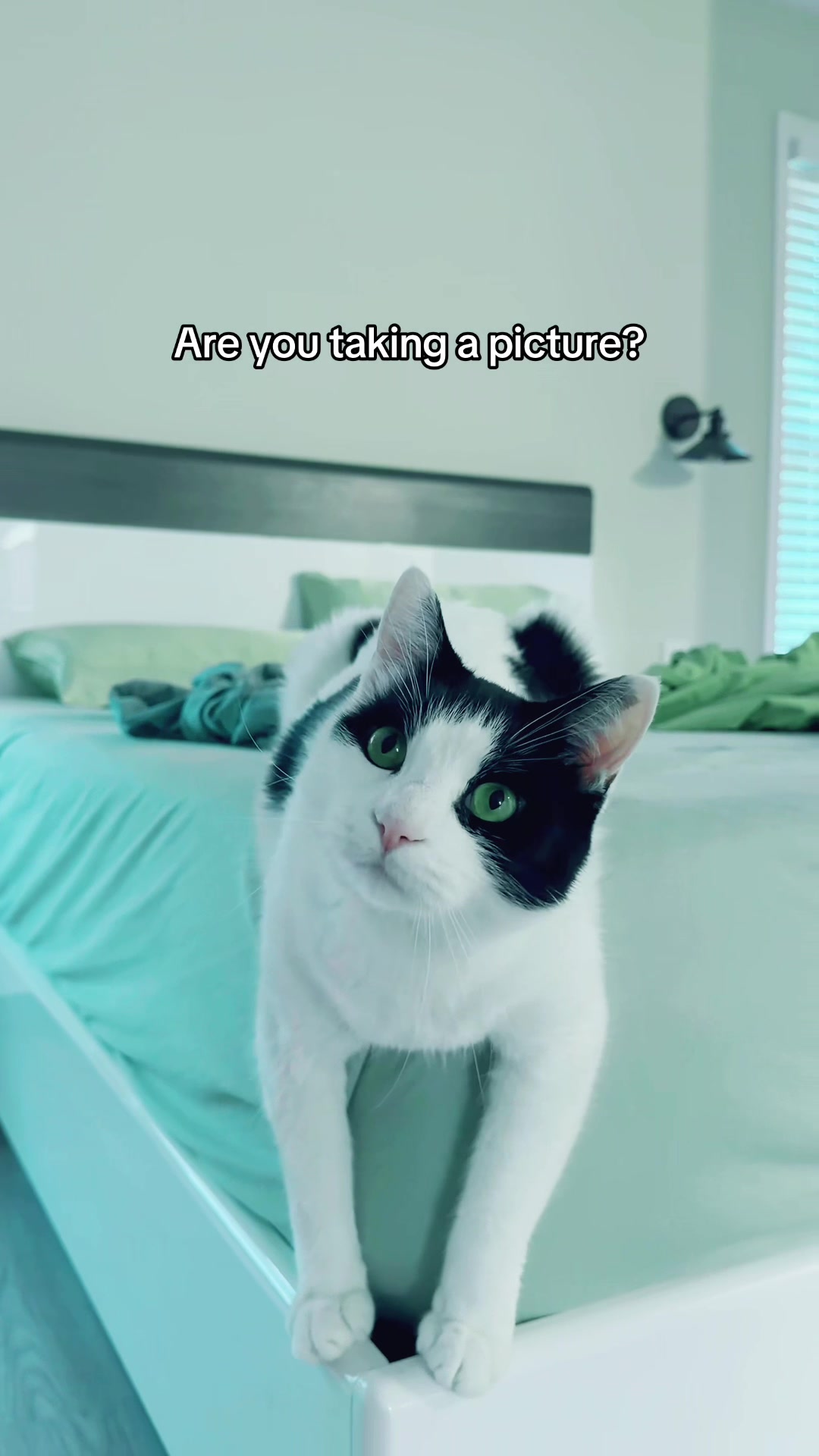 @Tabitha and Wesley