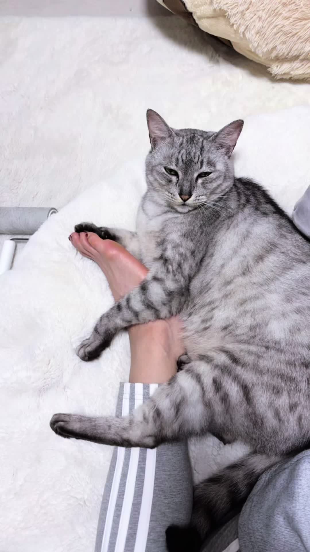 @そぉーちゃん🍷🐈soochan