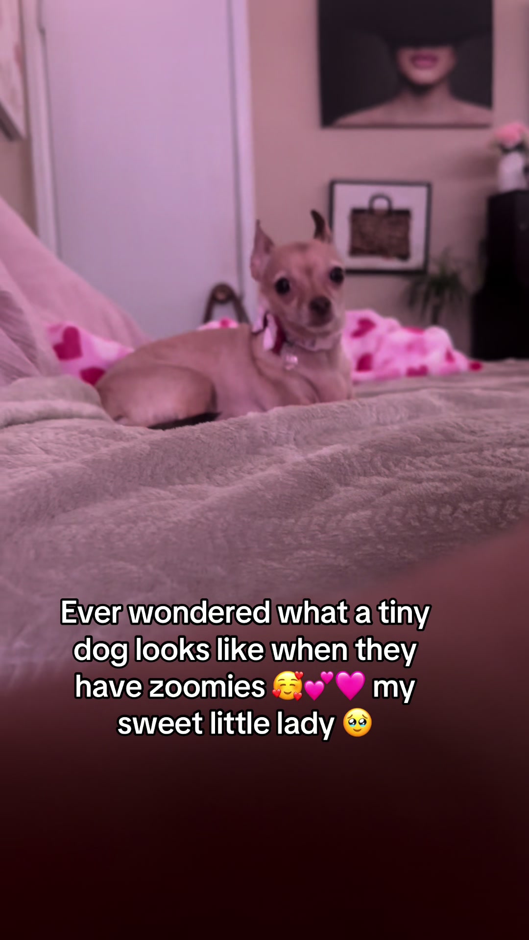 @boogz.0803