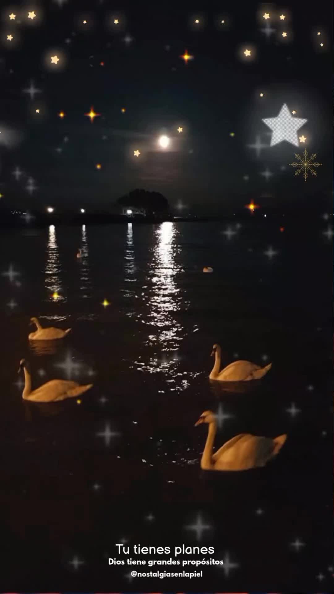 @nostalgiasenlapiel