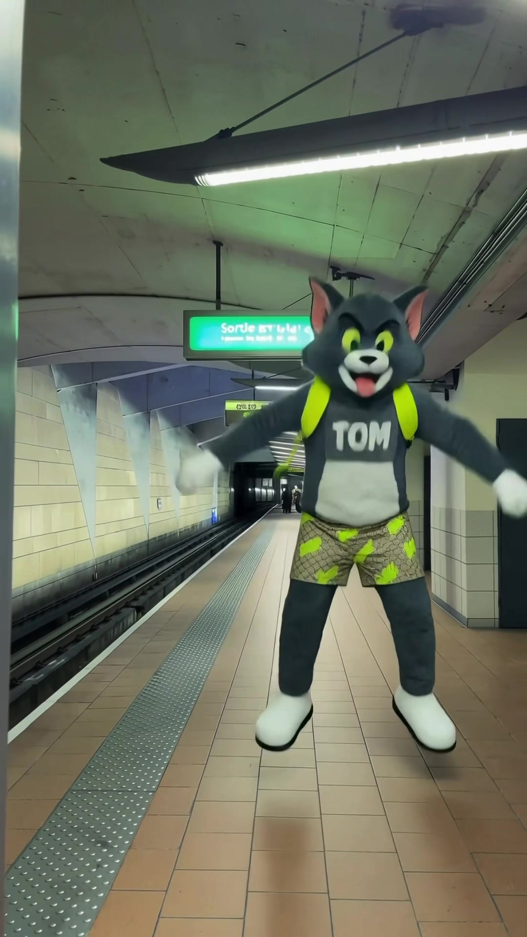 @TOM 🪤😺
