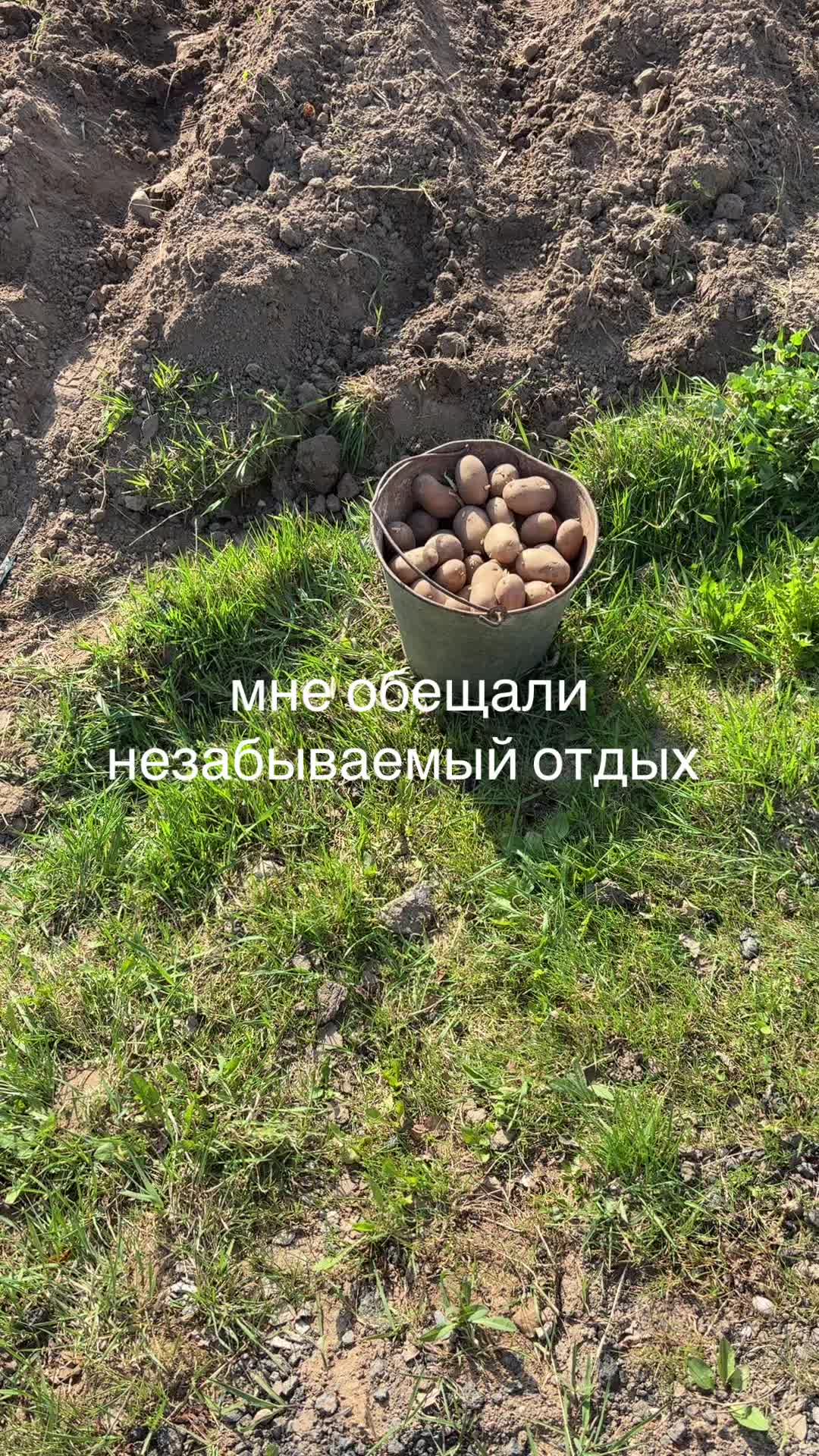 @арчи
