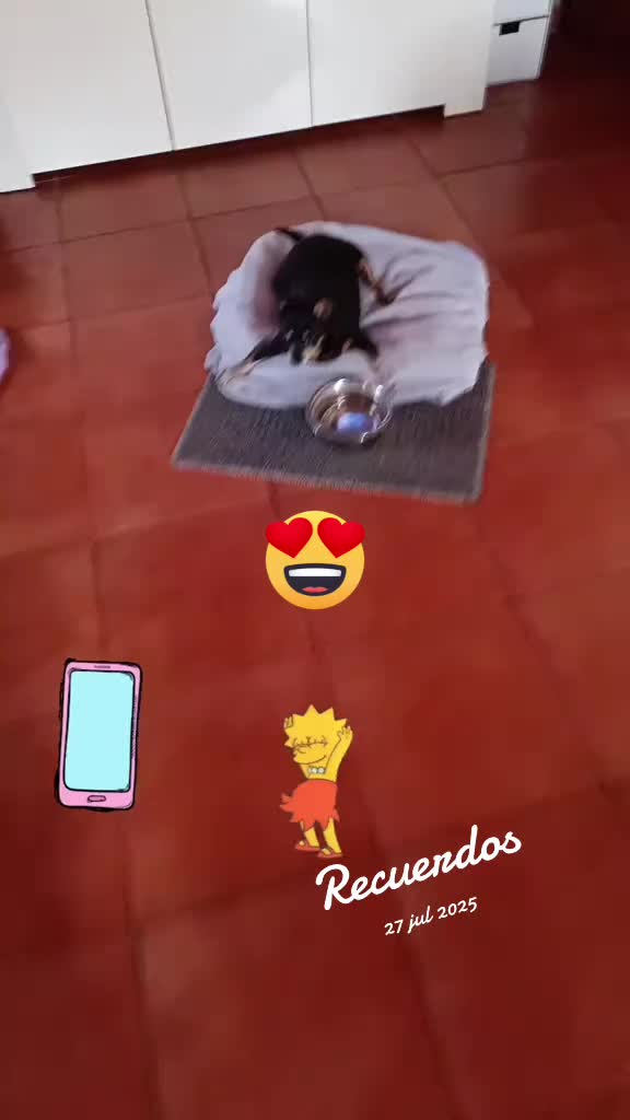 @Martín y Carlota