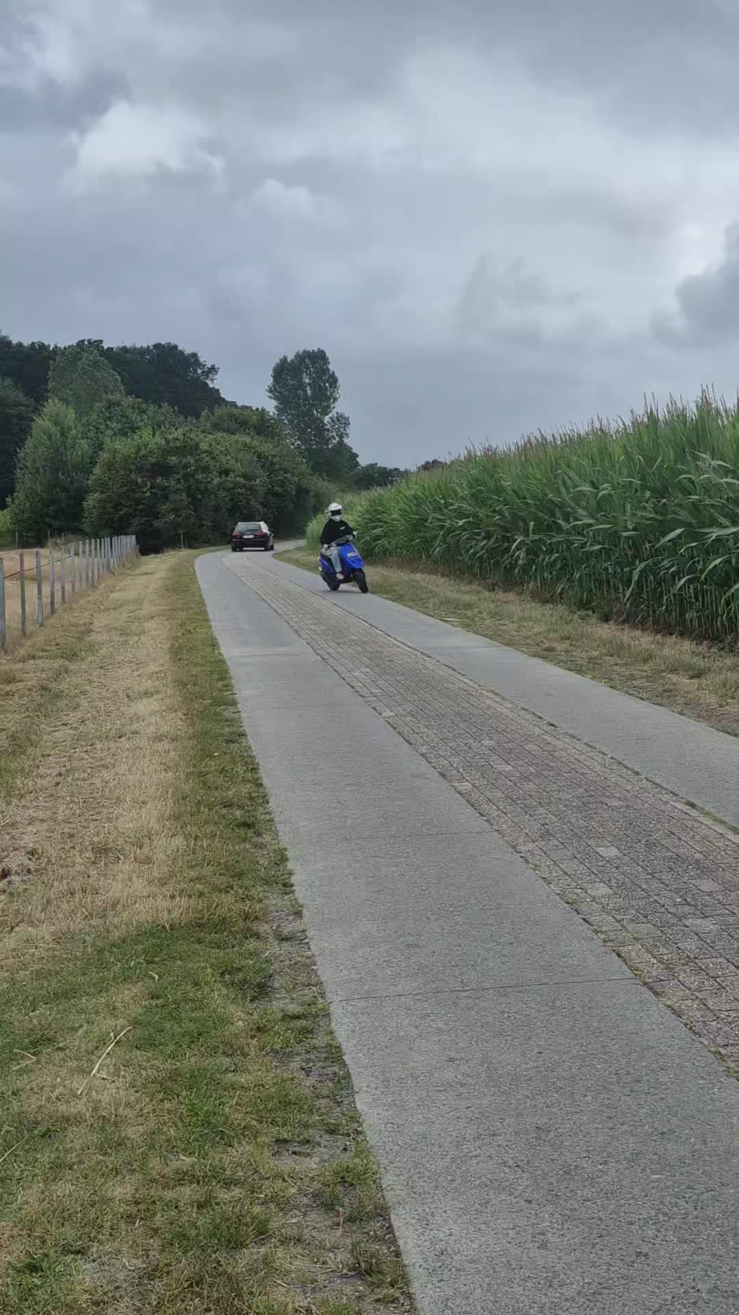 @MarcoOnMaxi🥝