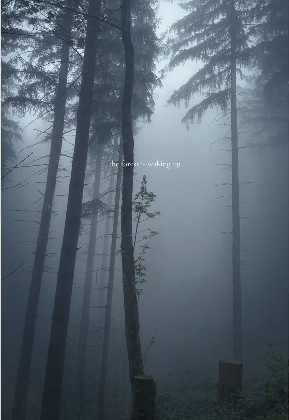 @𝙳𝚎𝚎 ☽