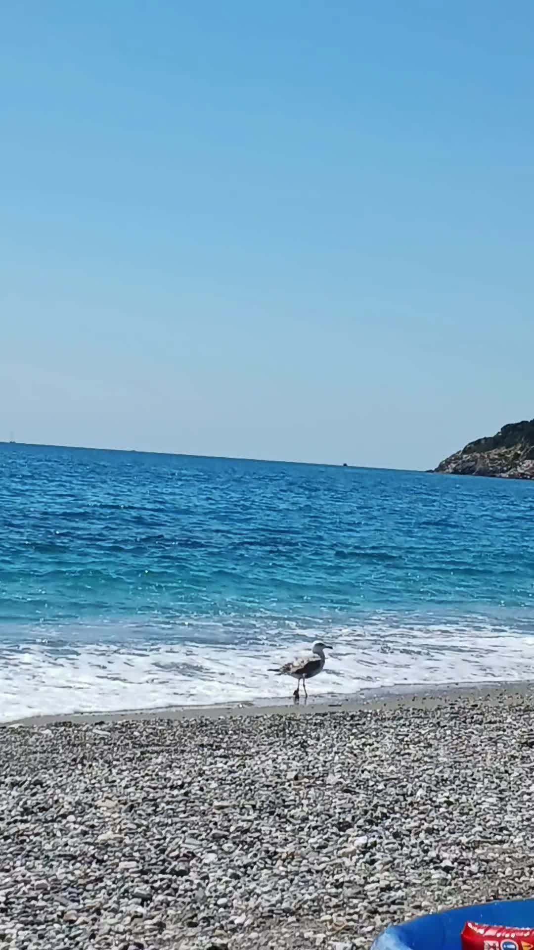 @𝘔𝘰𝘯𝘪𝘢 𝘈𝘷𝘰𝘭𝘪𝘰