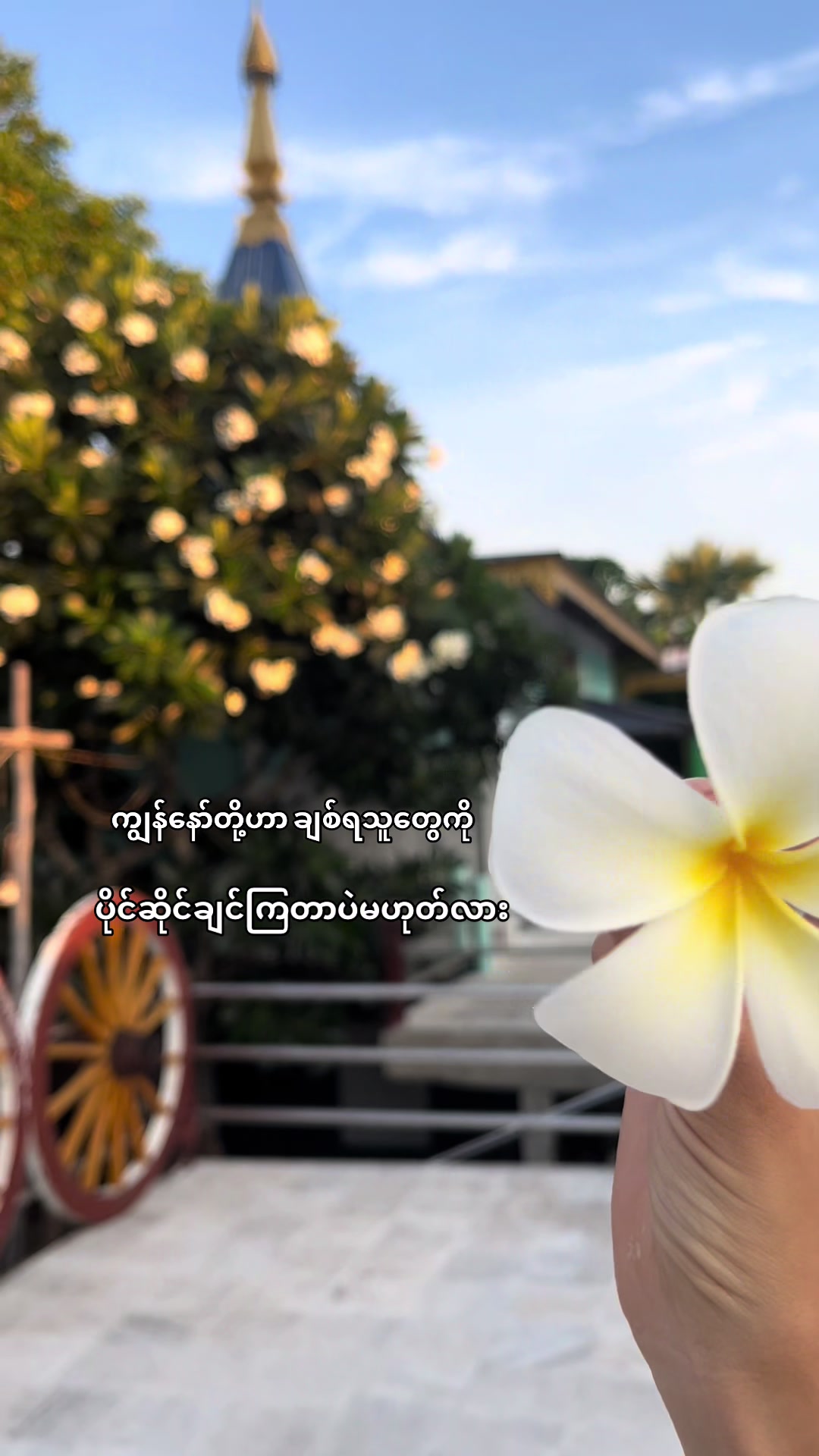 @မောင်နဂါး🐉