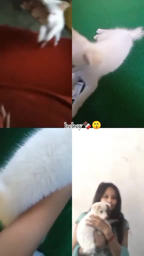@SHIRJANA.