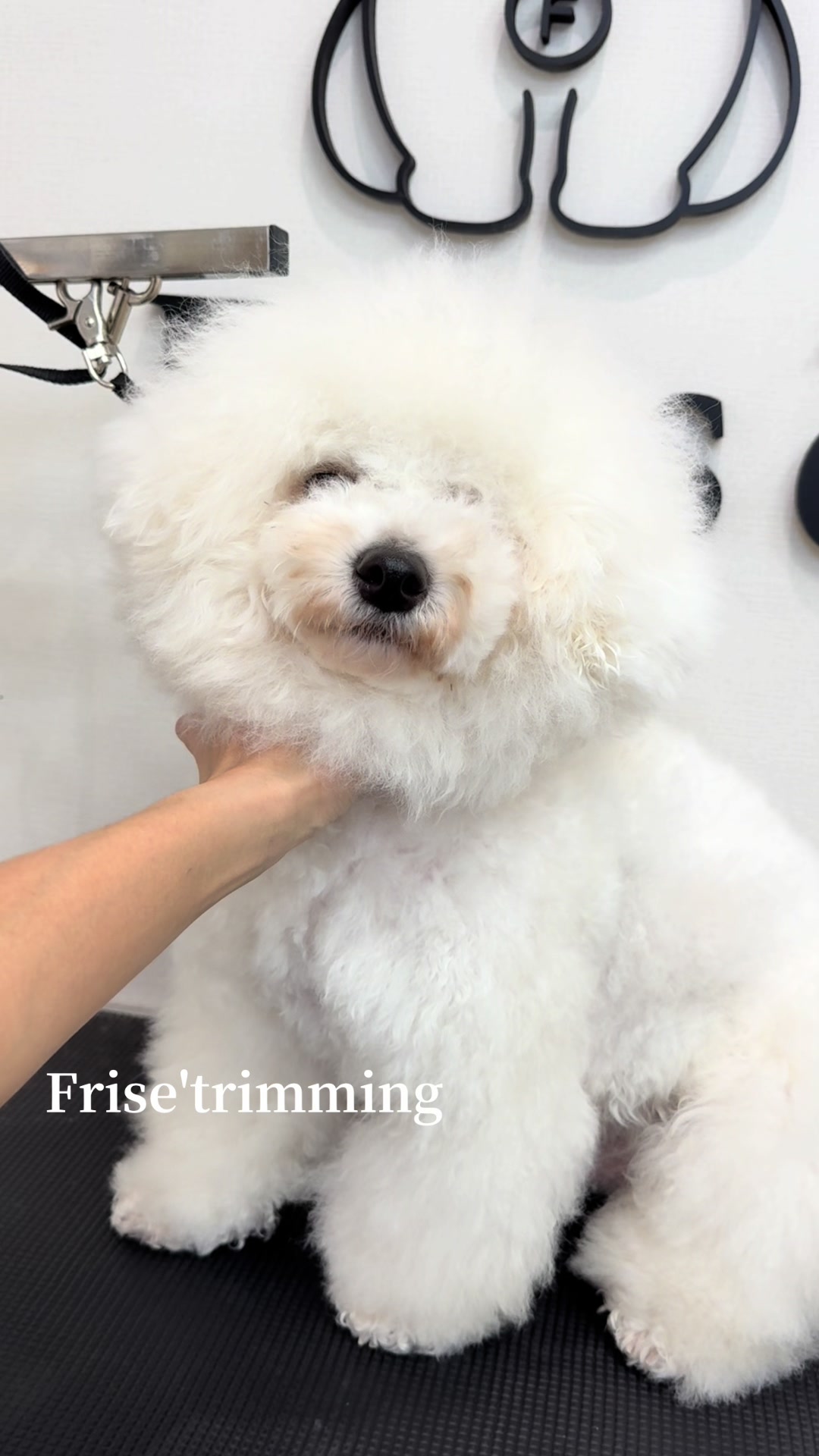 @Frise’