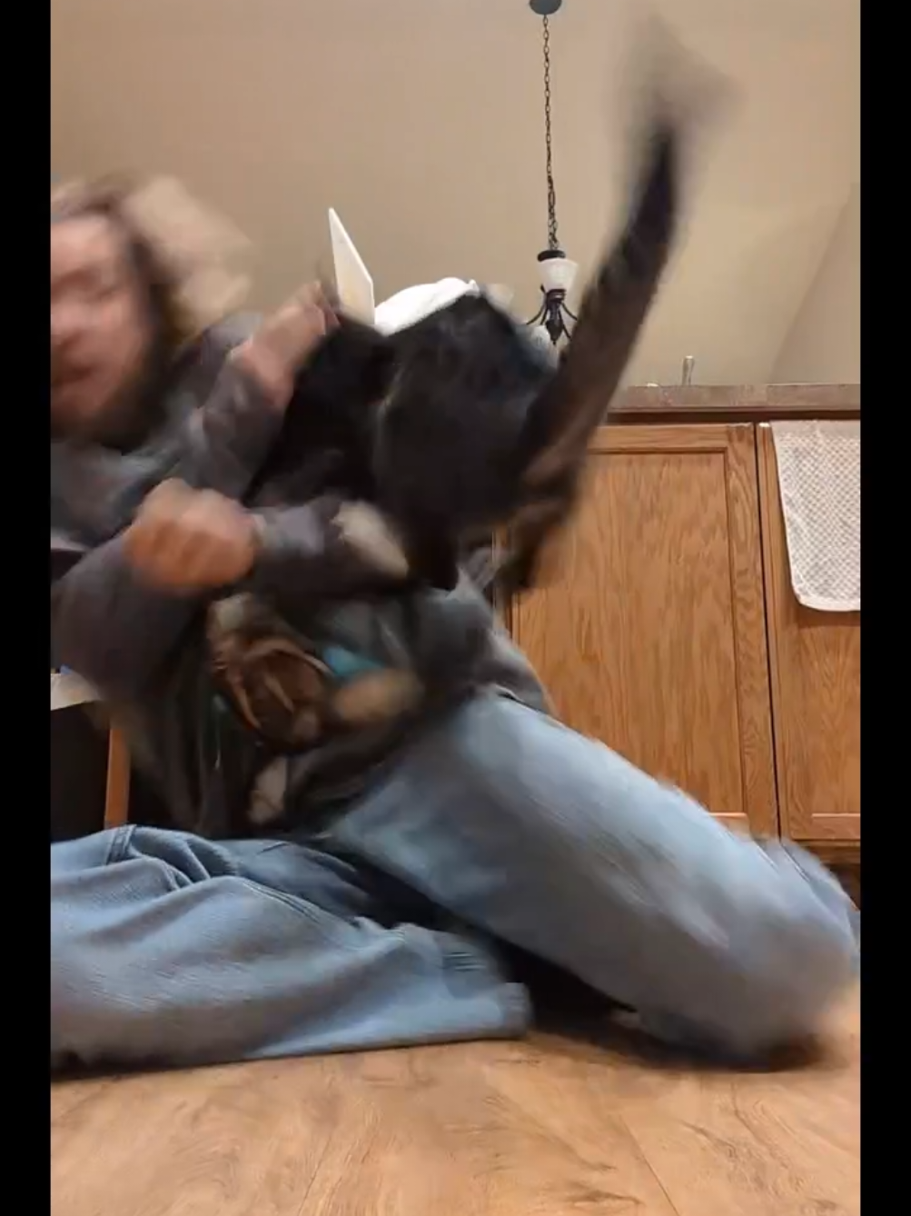 @Rainy the Cat