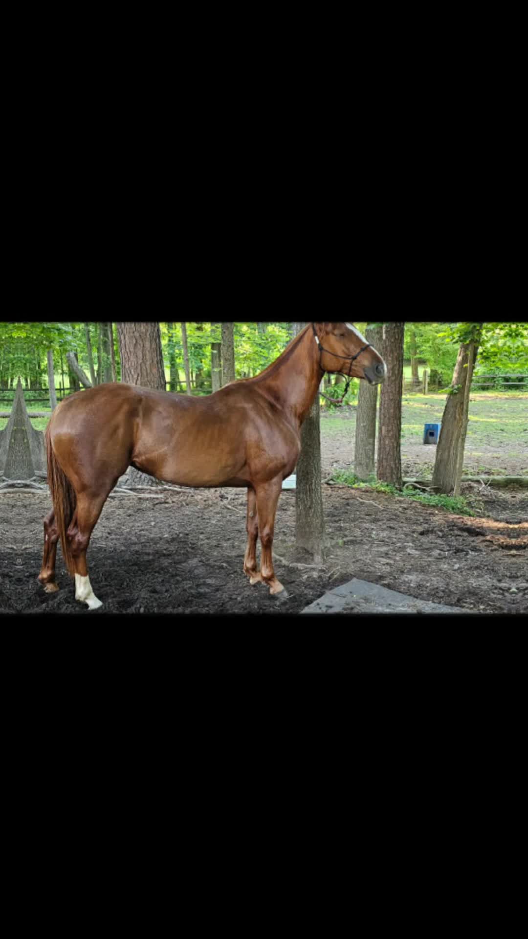 @southerncowgirl