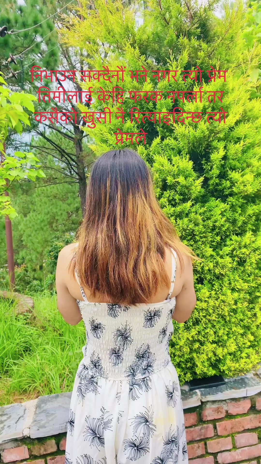 @🦋🎀Musi🎀🦋