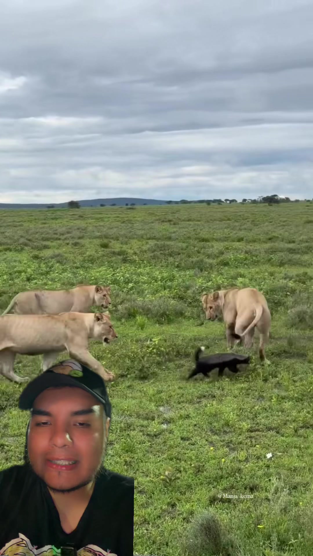 @Jair Herrera 🐆