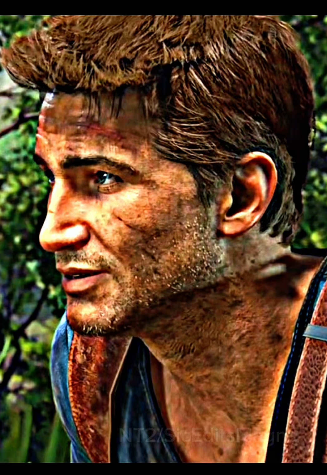 @NT2