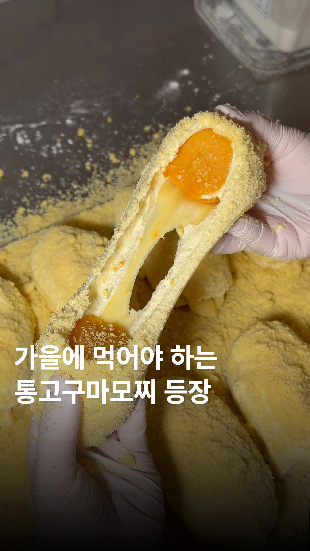 @๋ฌธ๋ฌ