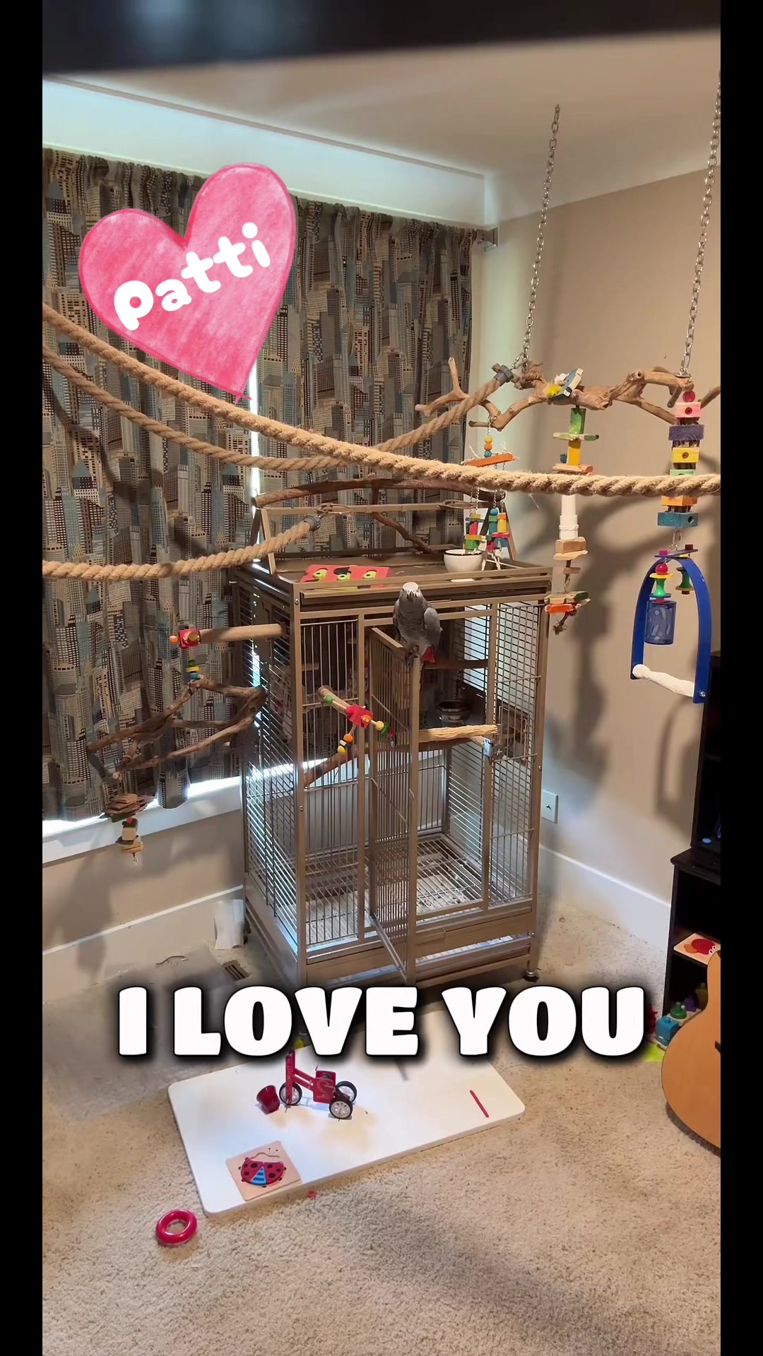 @thehinzoo