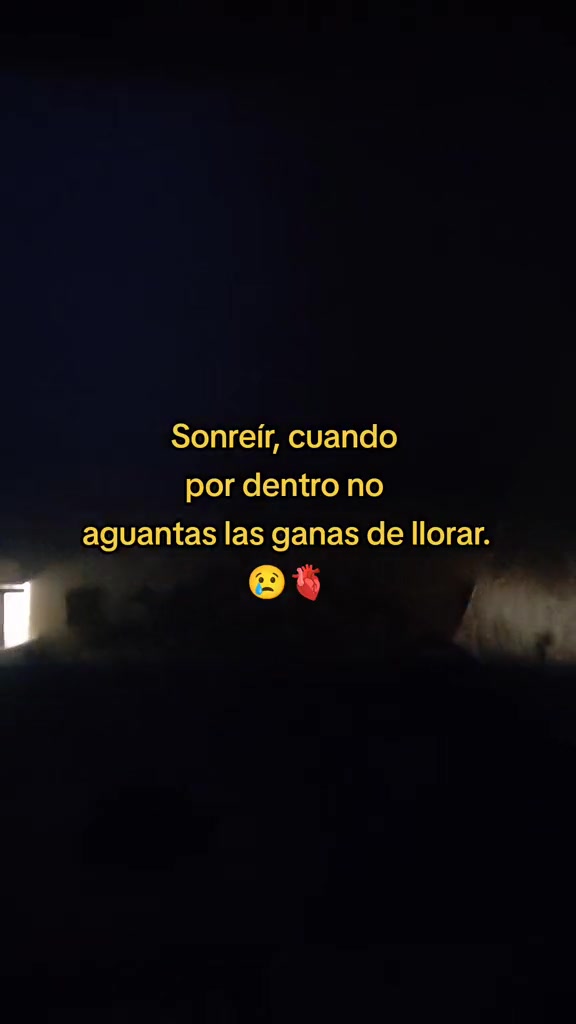 @Tavozdk