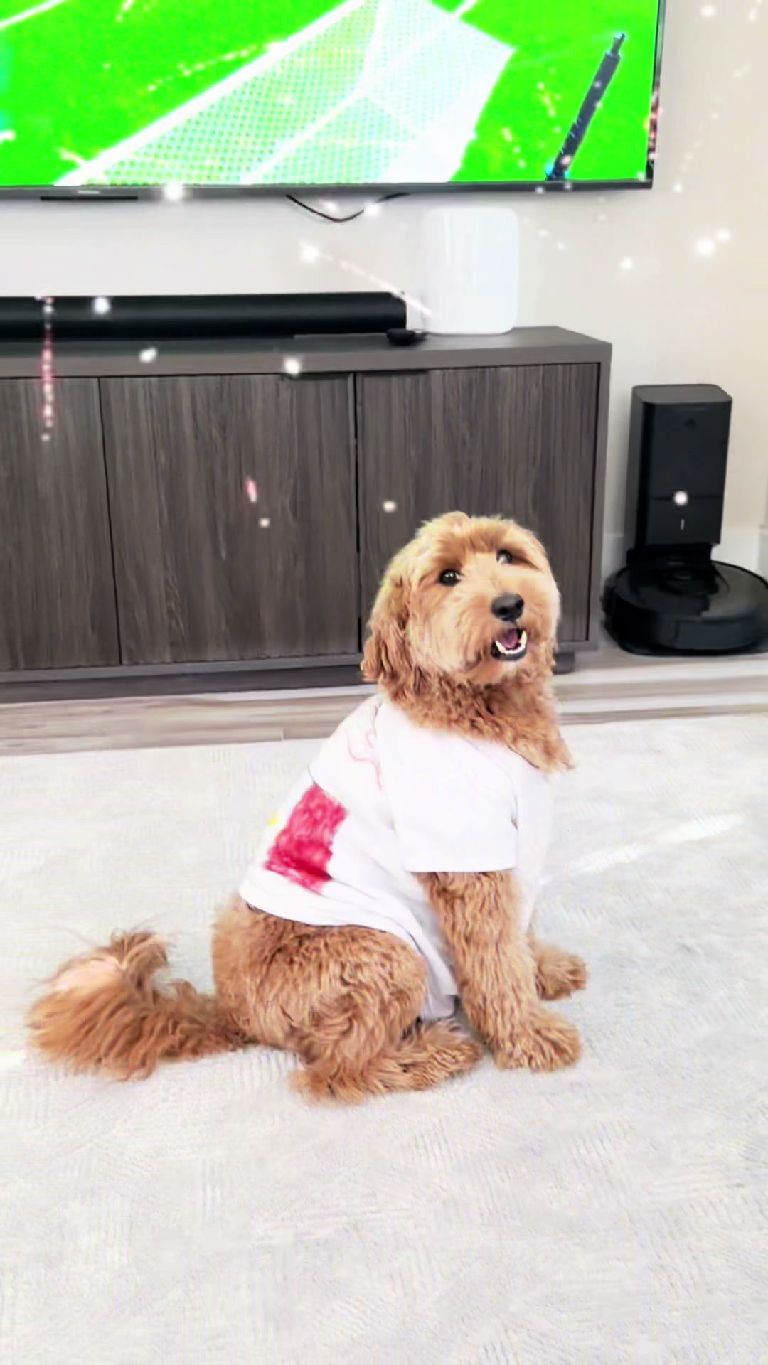 @TuckerTheTurlockDoodle