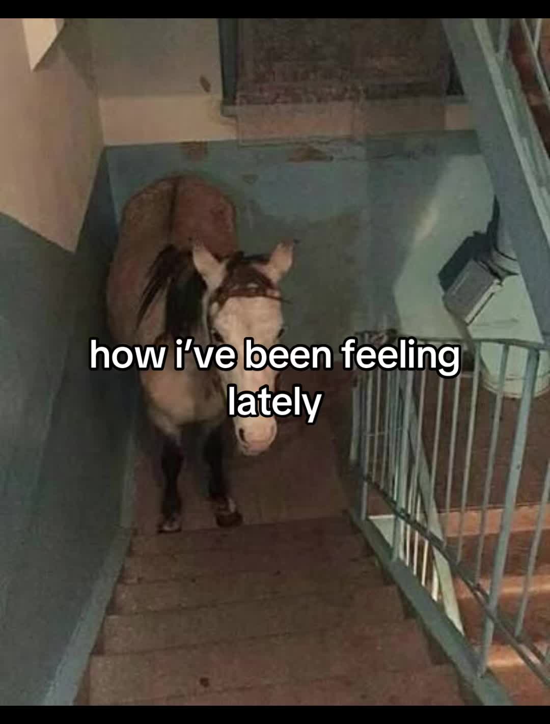 @ᴍɪᴄʜ 🌷🧘&zwj;♀️