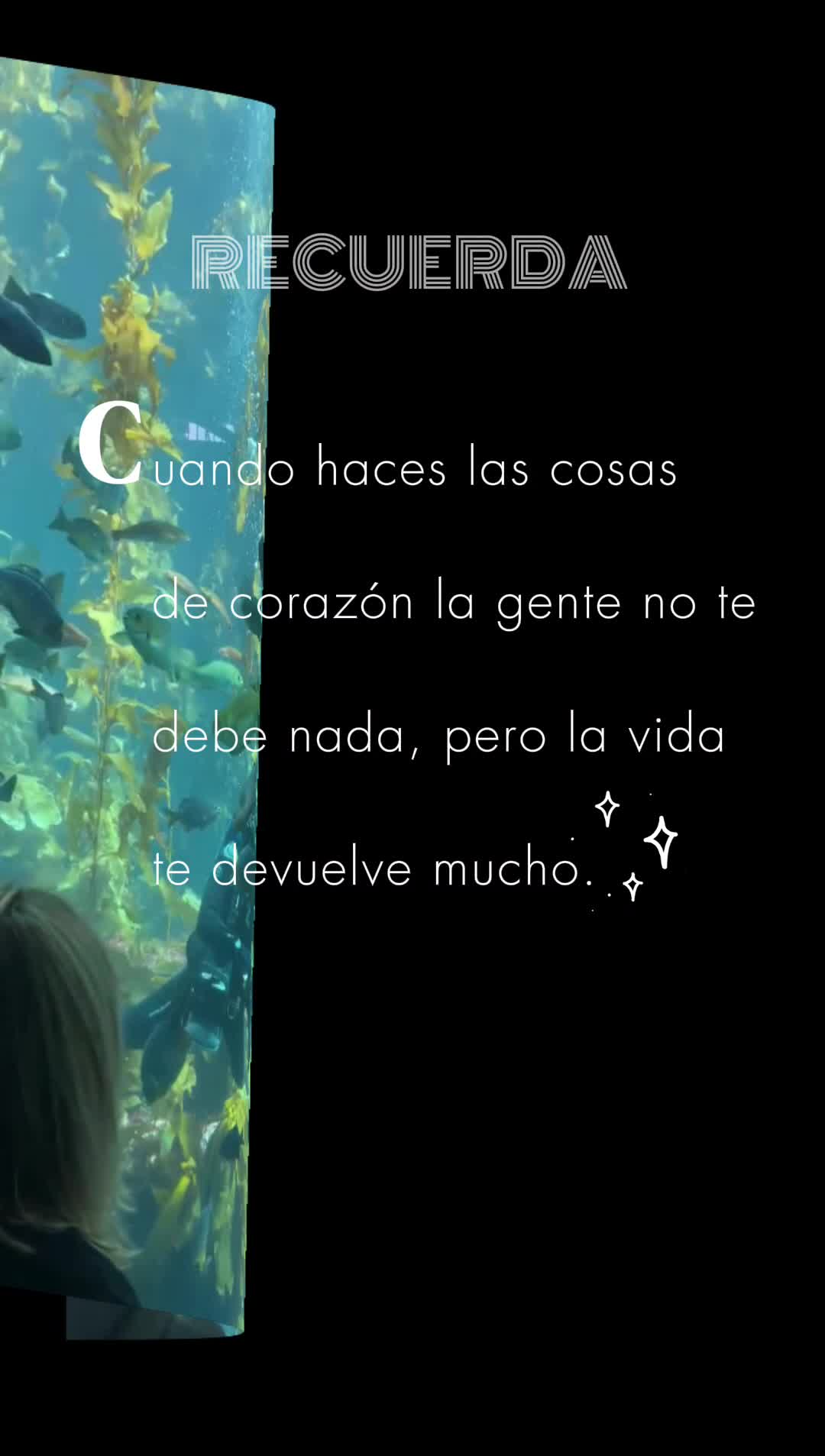 @🦋𝓜𝓲𝓻𝓪𝓷𝓭a