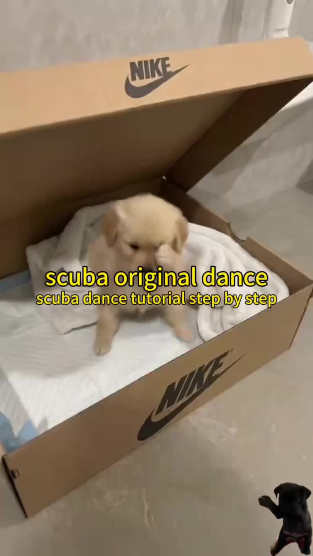 @duna