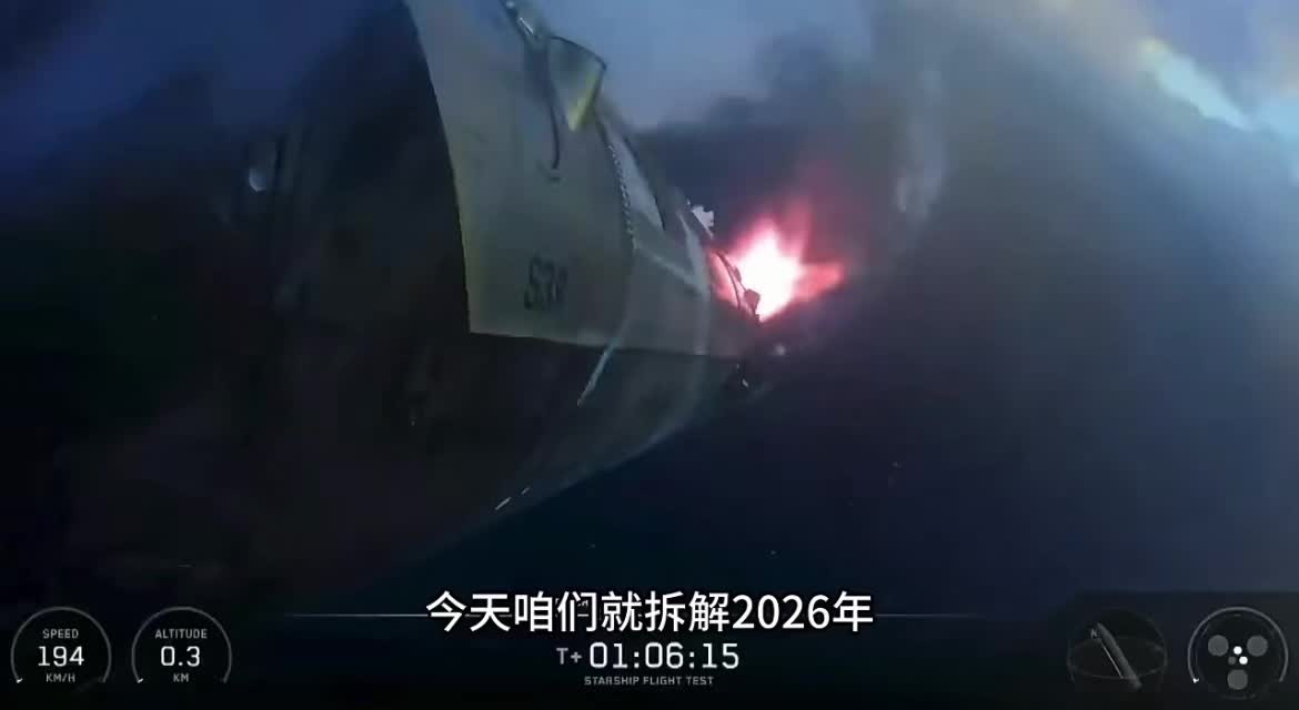 @虎纠小兄弟