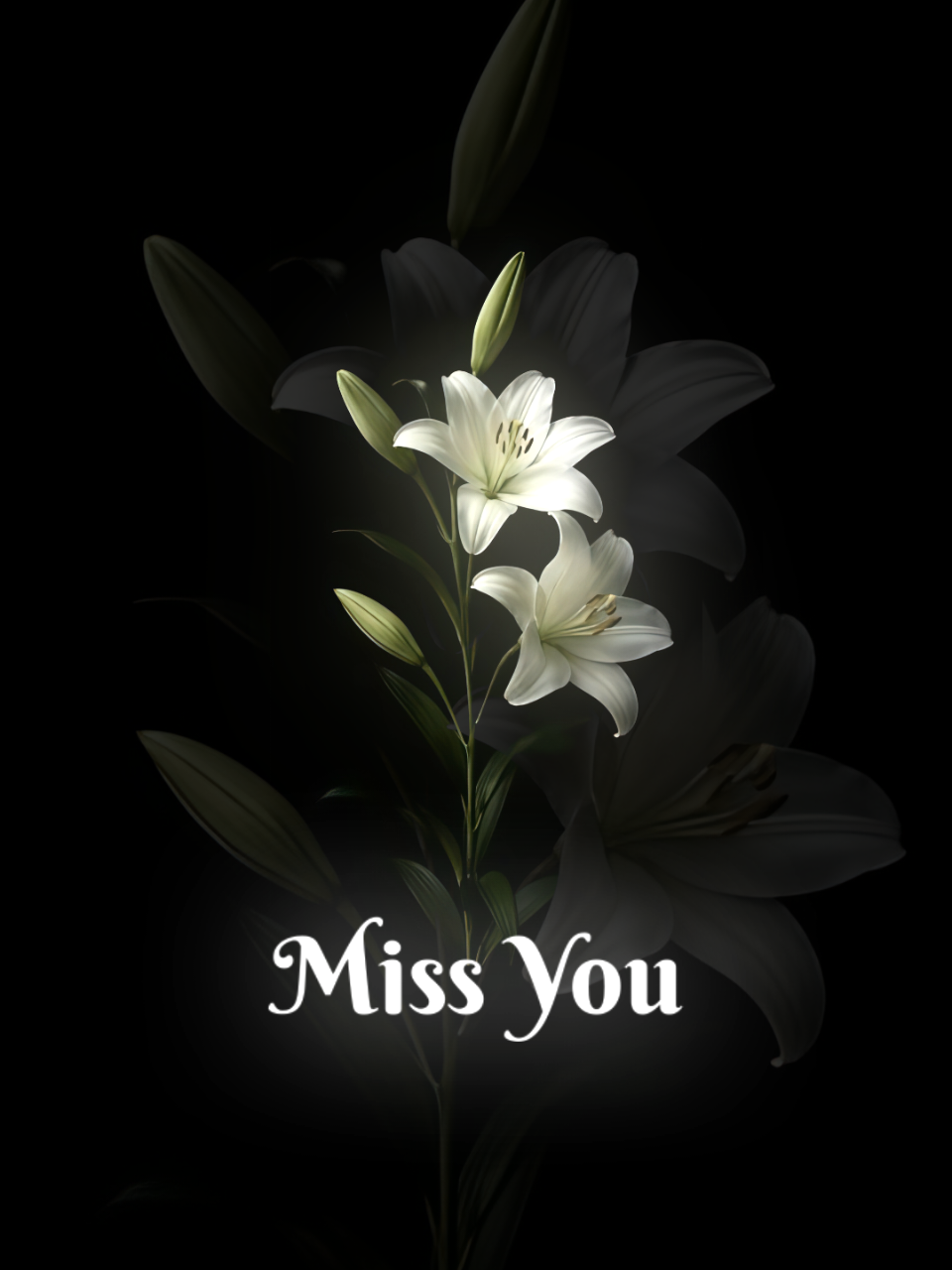 @𝐥𝐨𝐬𝐭𝐫𝐚𝐟𝐢𝐧 𝄞