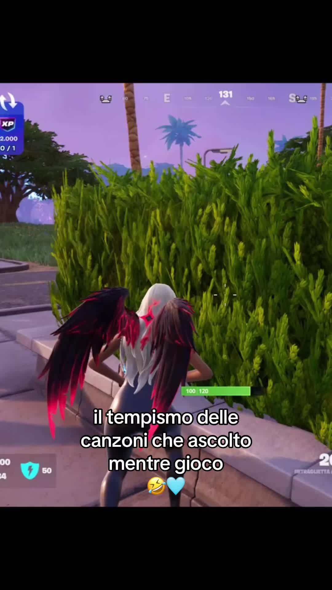 @BibiElman182