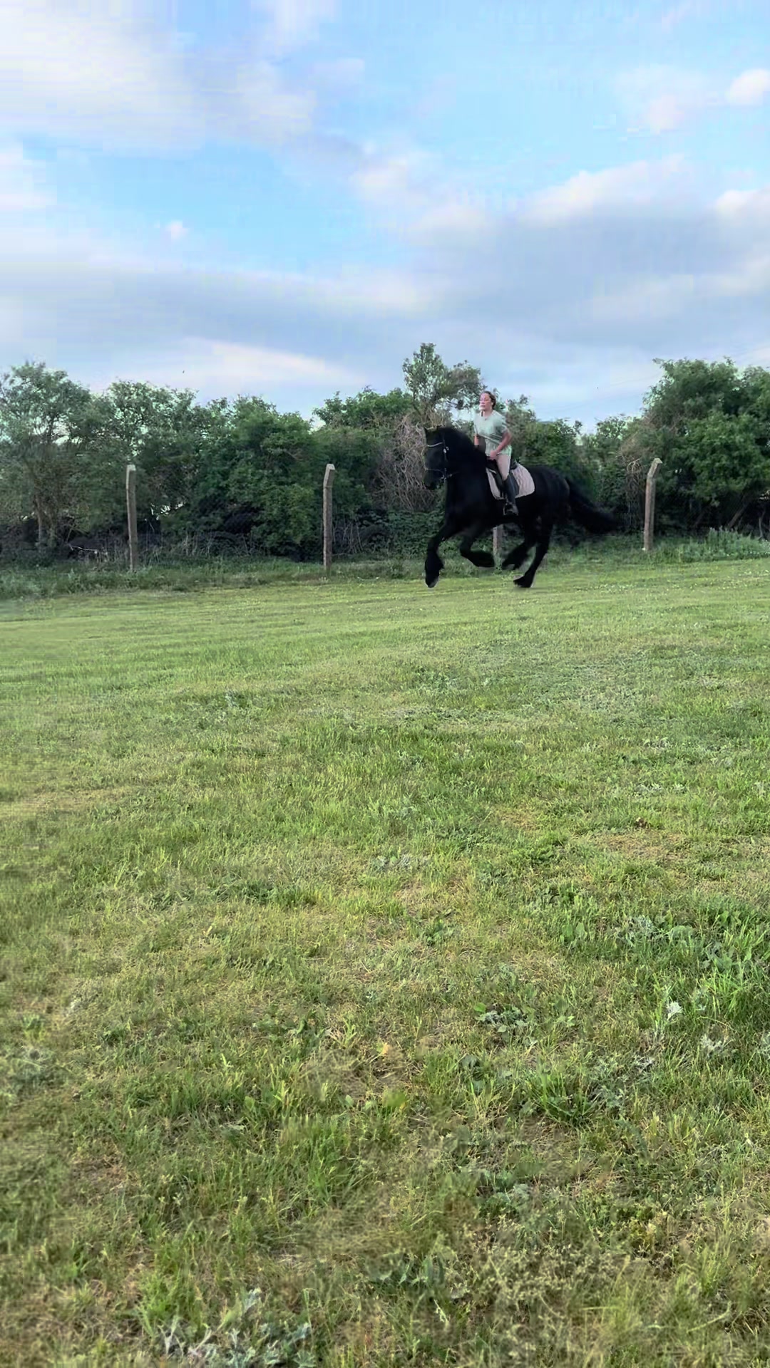 @Horses