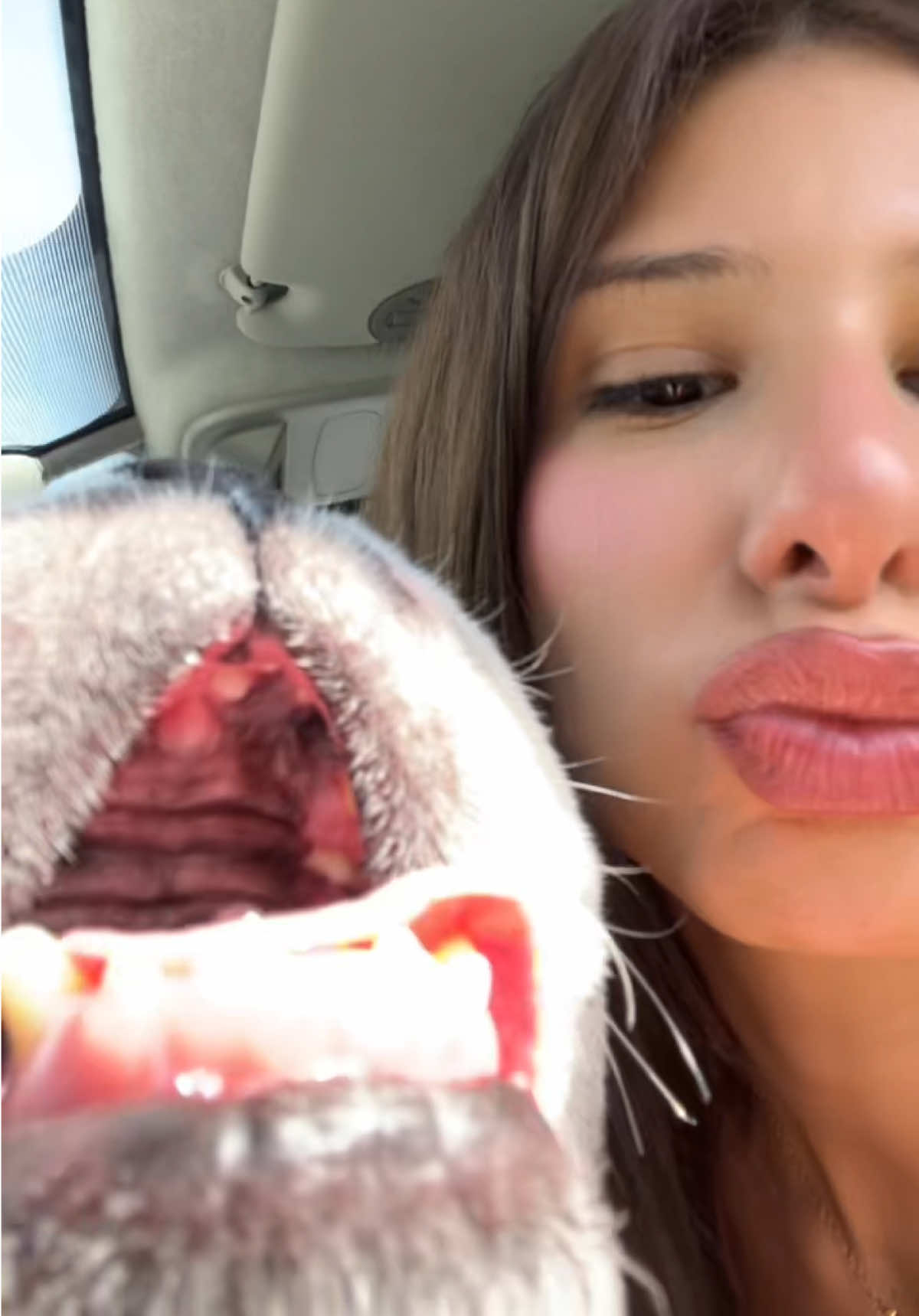 @americax292
