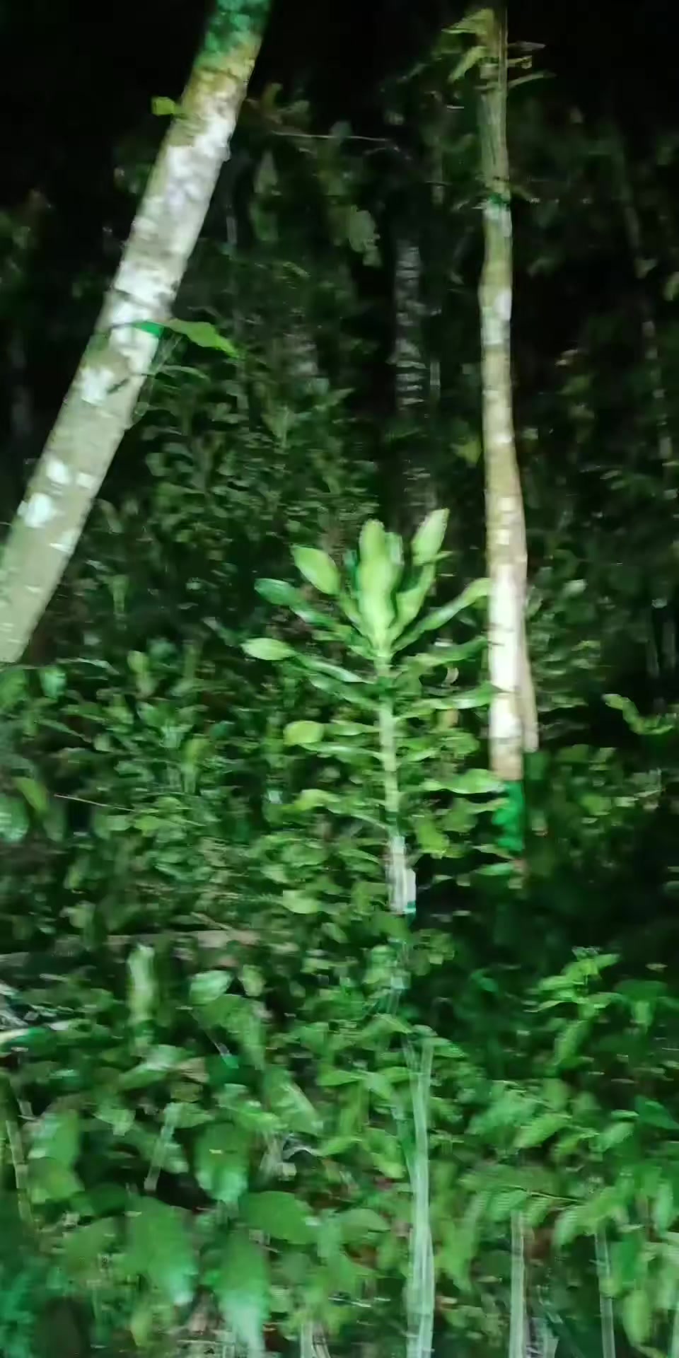 @๐๐๐ง๐๐ซ๐ ๐๐ข๐ฃ๐๐ฒ๐