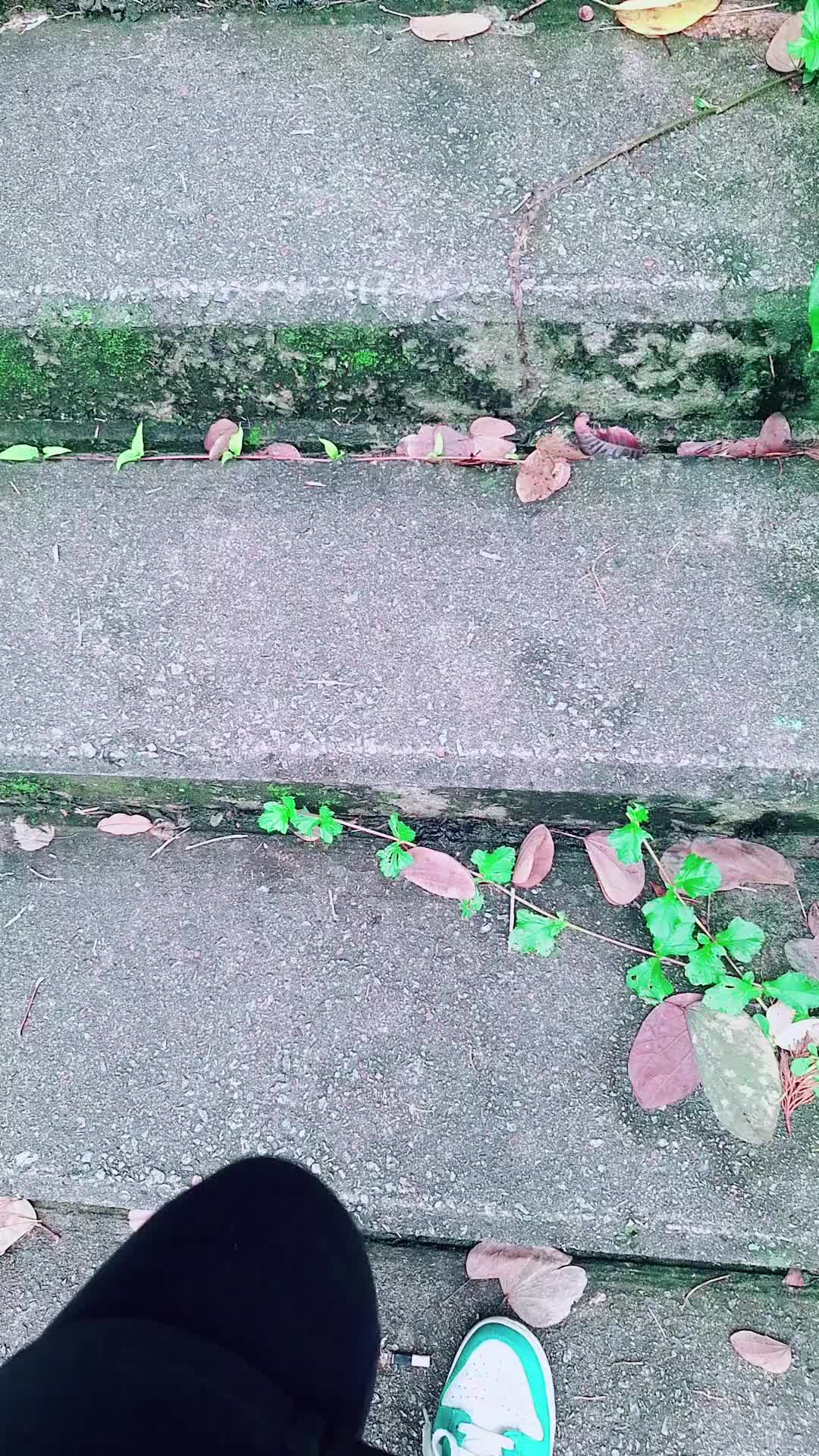 @I♡$