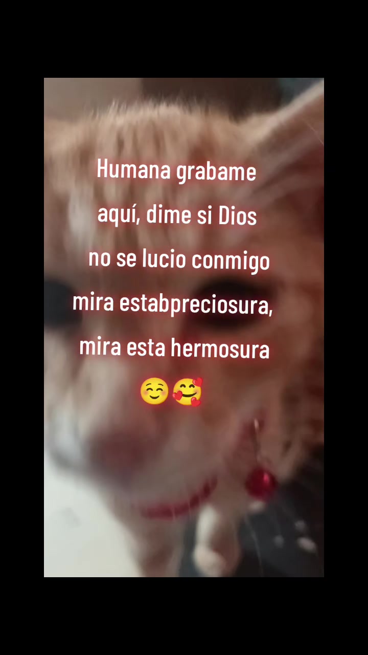 @Joss Elías