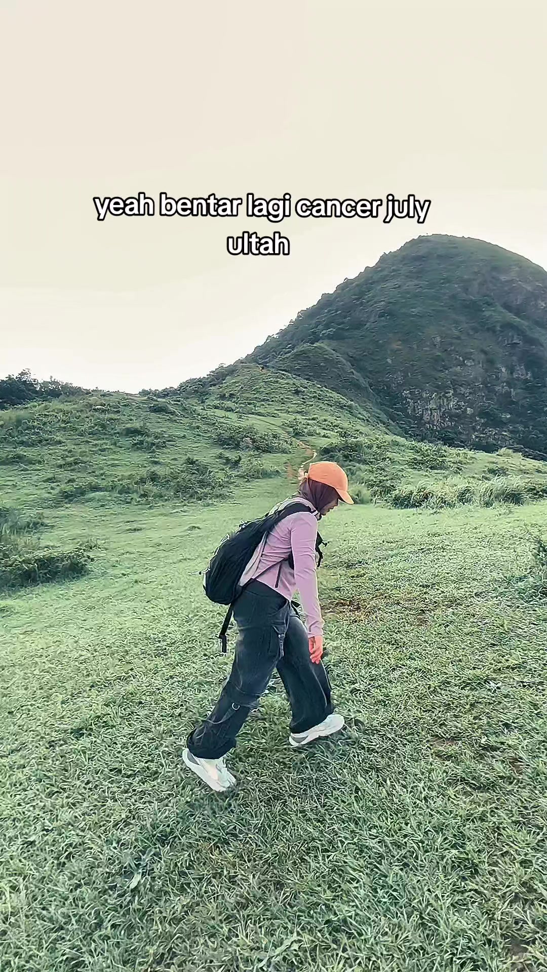 @momo🐈