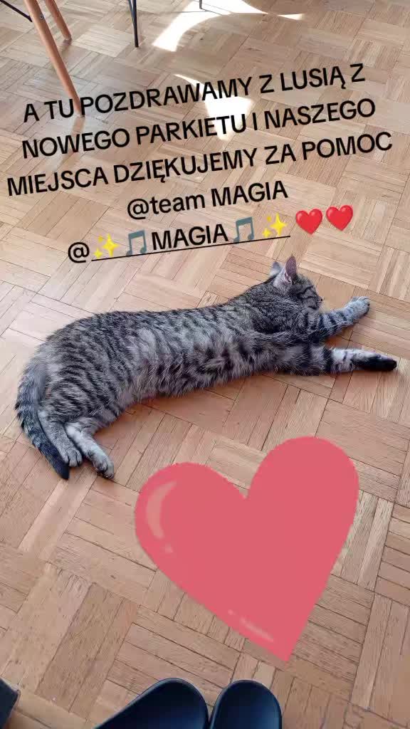 @OG&Oacute;REK KSIĘDZA &hearts;️TEAM MAGIA✨