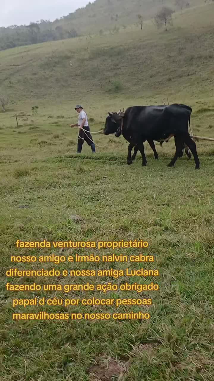 @ELIZEU Batista
