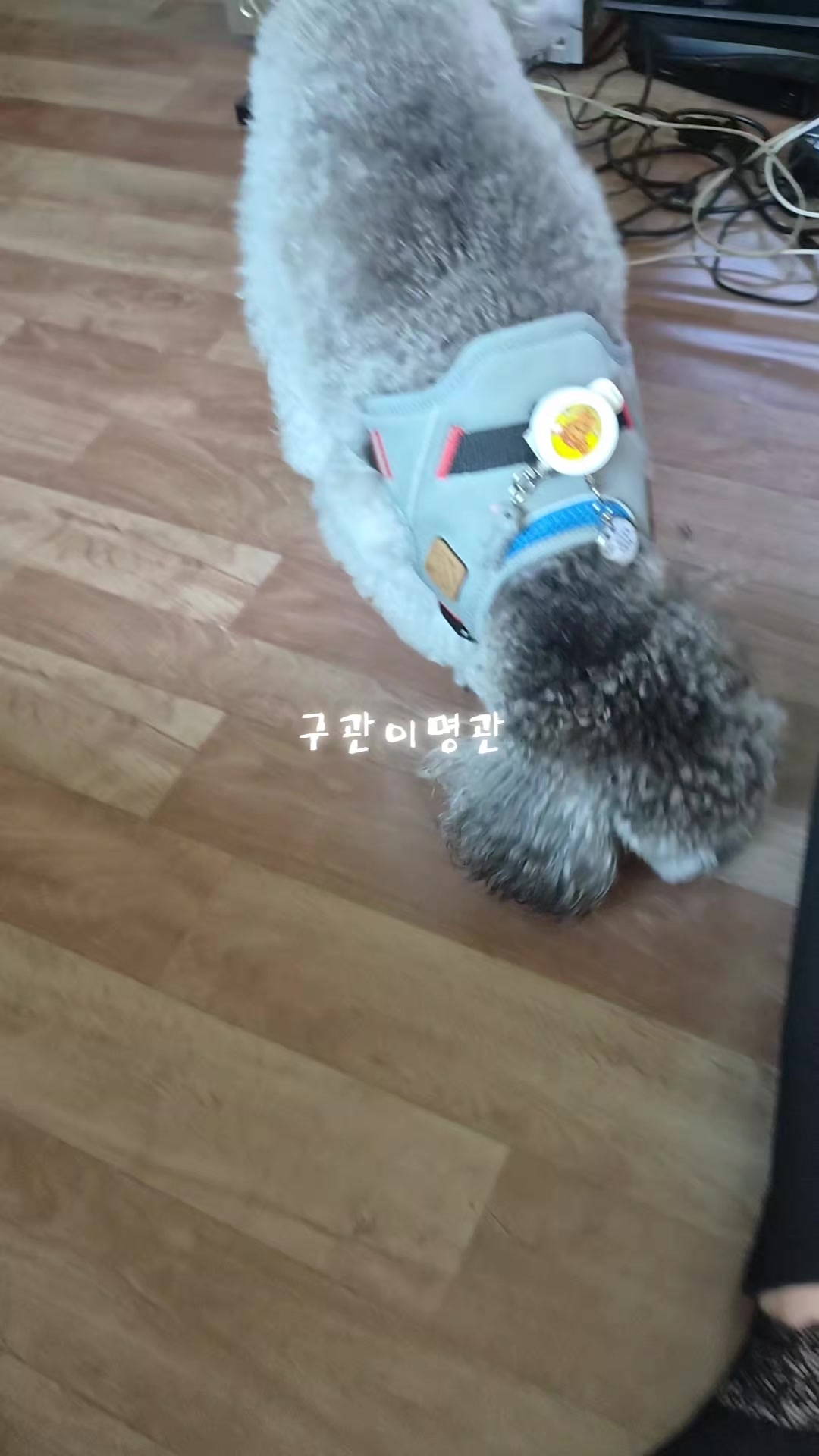 @이도사