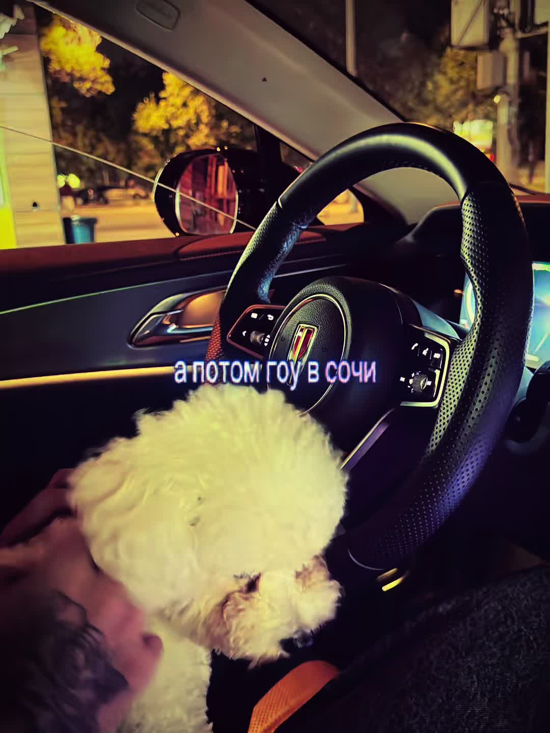 @тгк: лизука трингл