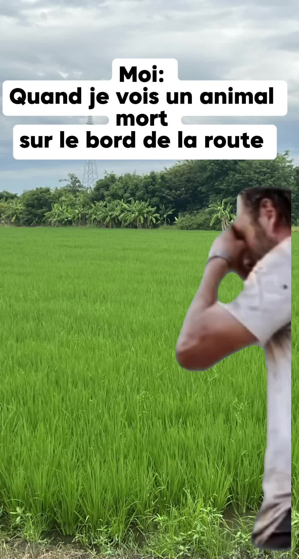 @Magou1981
