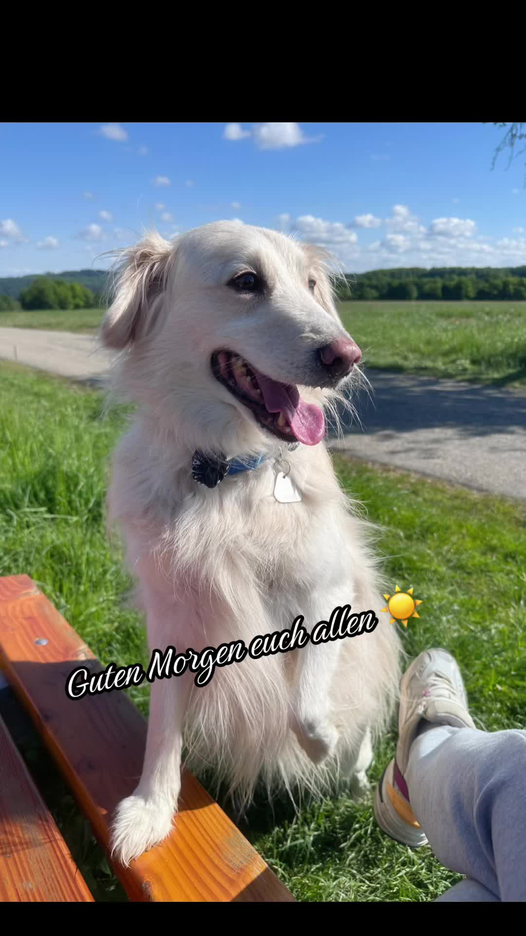 @mi.vida.loca067