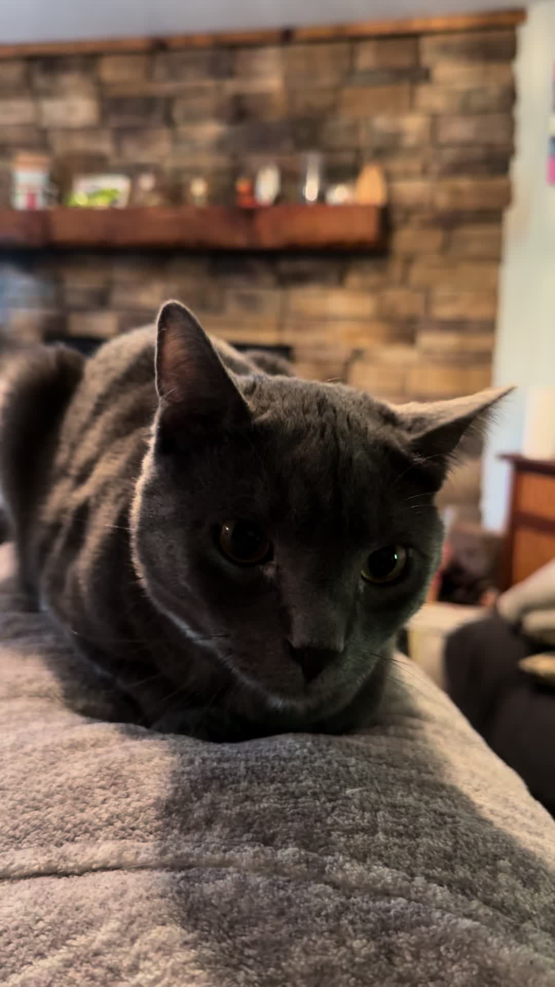 @KrazyKatz