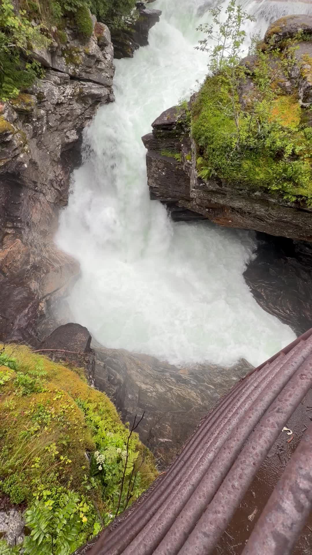 @adventuresafter50_