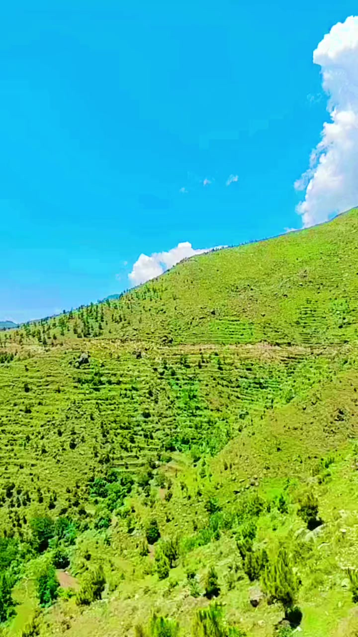 @Mohd Rahman khan15