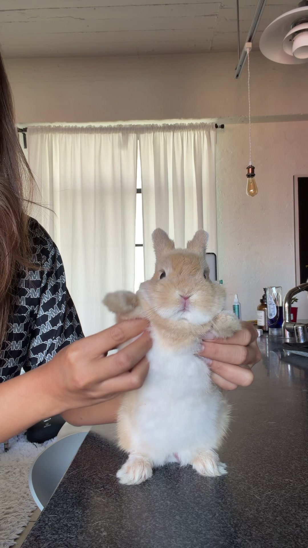 @Bunnydayoff