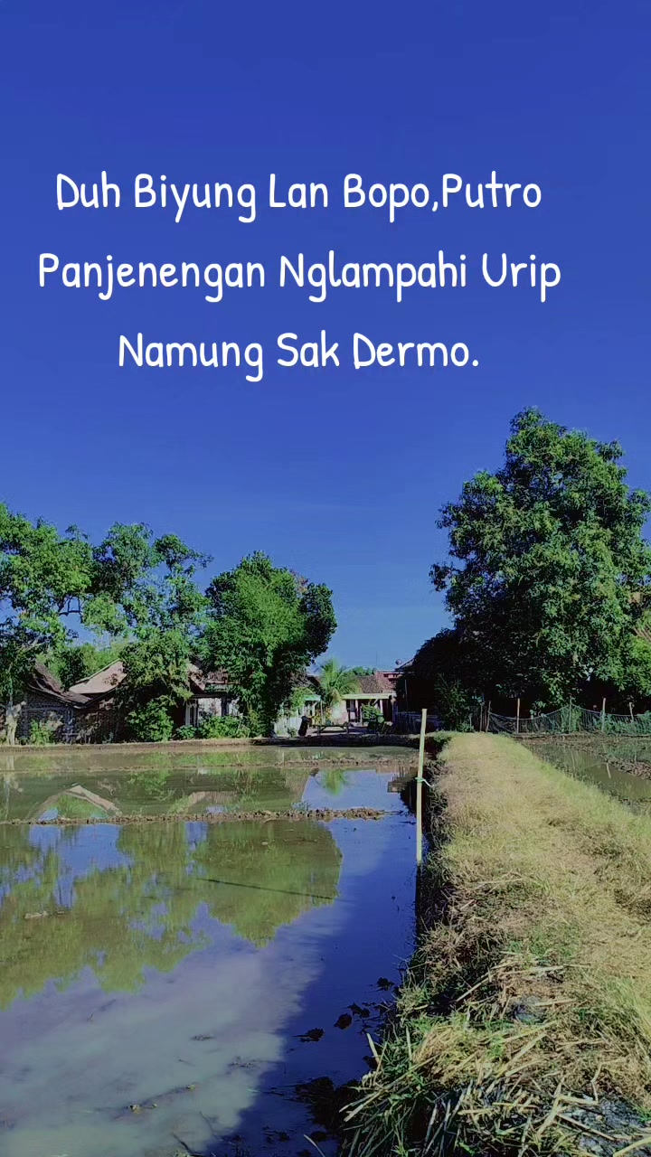 @Hartoyo Anggun.
