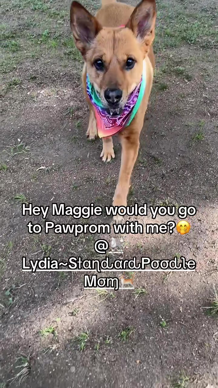 @Angela_maxx