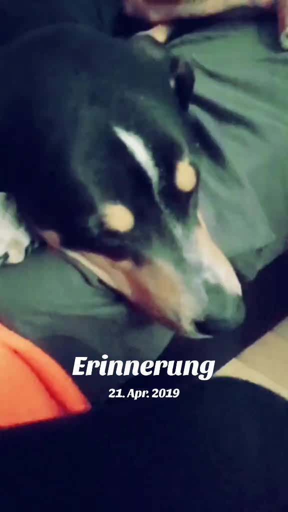 @□■□nicht.dein.Problem□■□