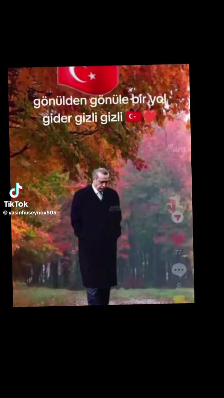 @Ali Khaliloff