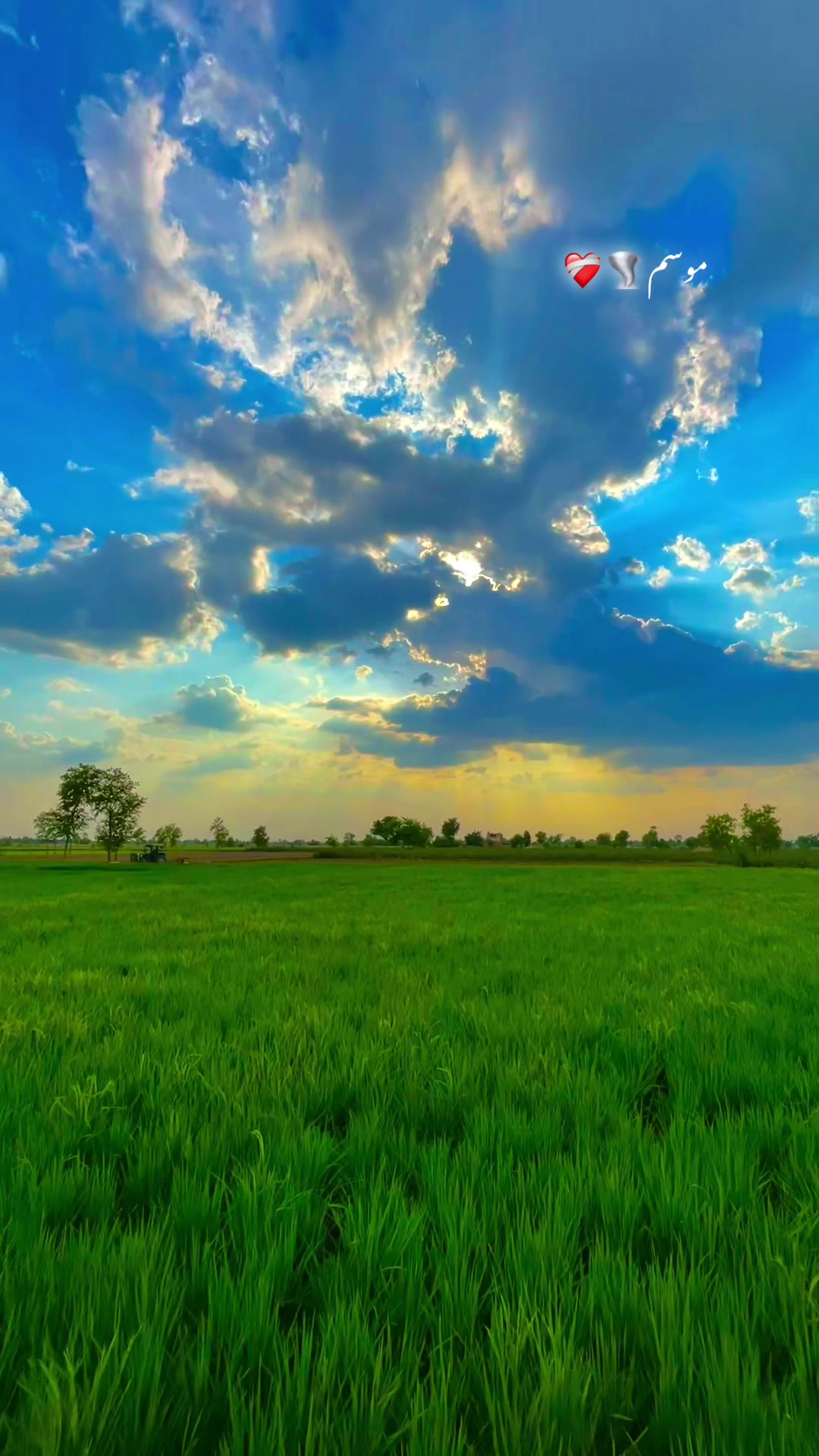 @🌾میں۔ میرا۔ پنڈ🎋