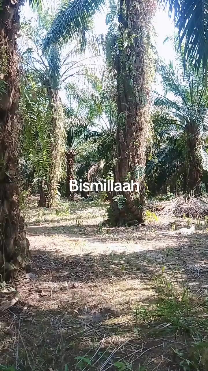 @🇮🇩wongbi@s@🇮🇩